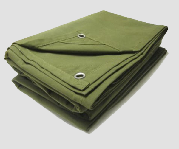 Cotton Canvas