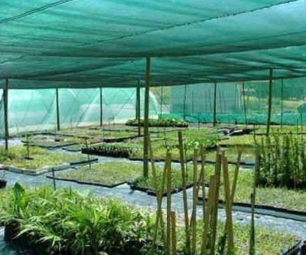 safety and shade nets dealer chennai